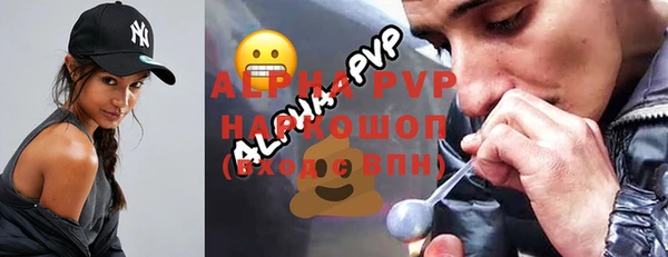 индика Медногорск