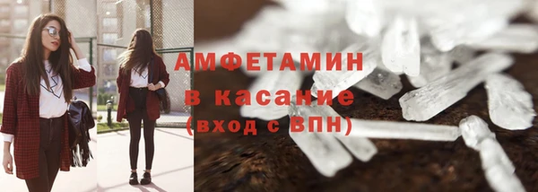 индика Медногорск