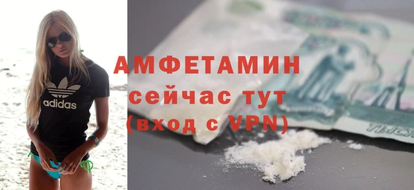 индика Медногорск