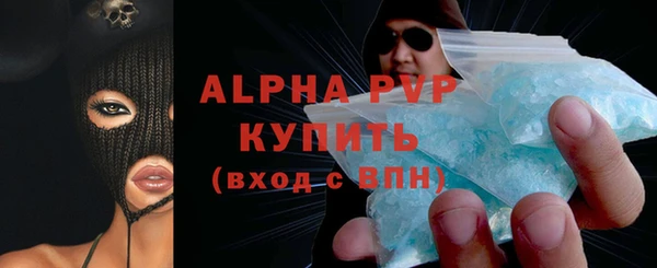 индика Медногорск