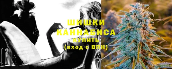 индика Медногорск