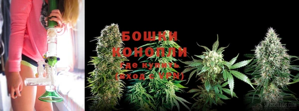 первитин Михайлов