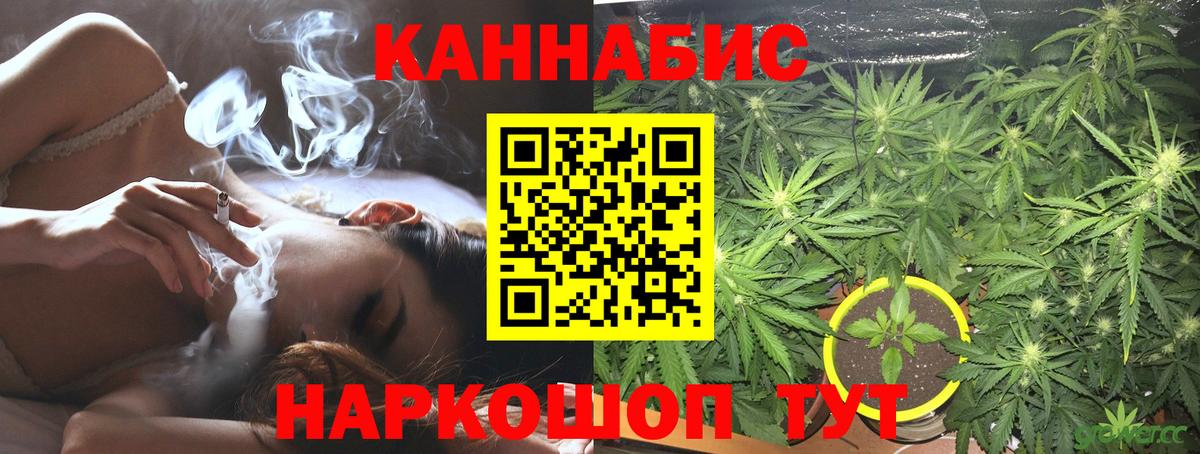 Марихуана сатива  Вход с VPN  Конопля тримм  Конопля семена  Архангельск 